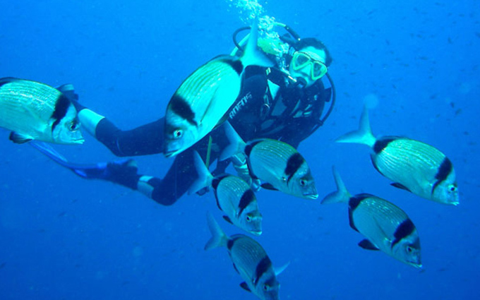 Diving Praia a Mare